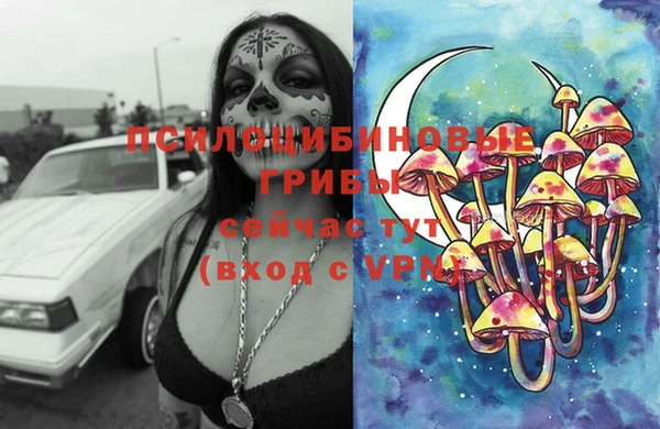 гашик Нязепетровск