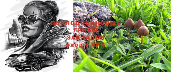 индика Абаза