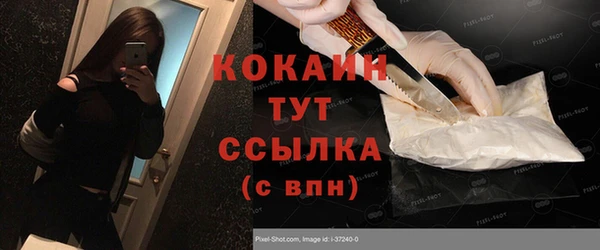 индика Абаза
