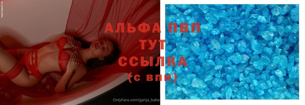 индика Абаза
