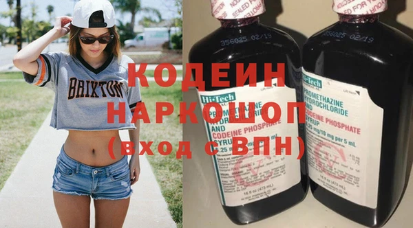 индика Абаза