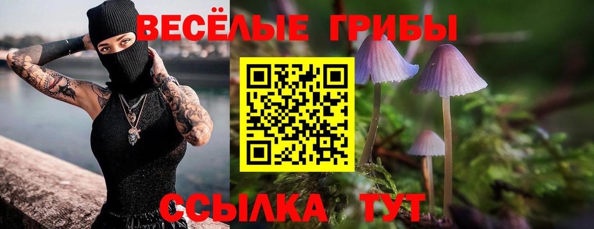 Чебаркуль  Галлюциногенные грибы ЛСД  Вход с VPN  Псилоцибиновые грибы ЛСД 